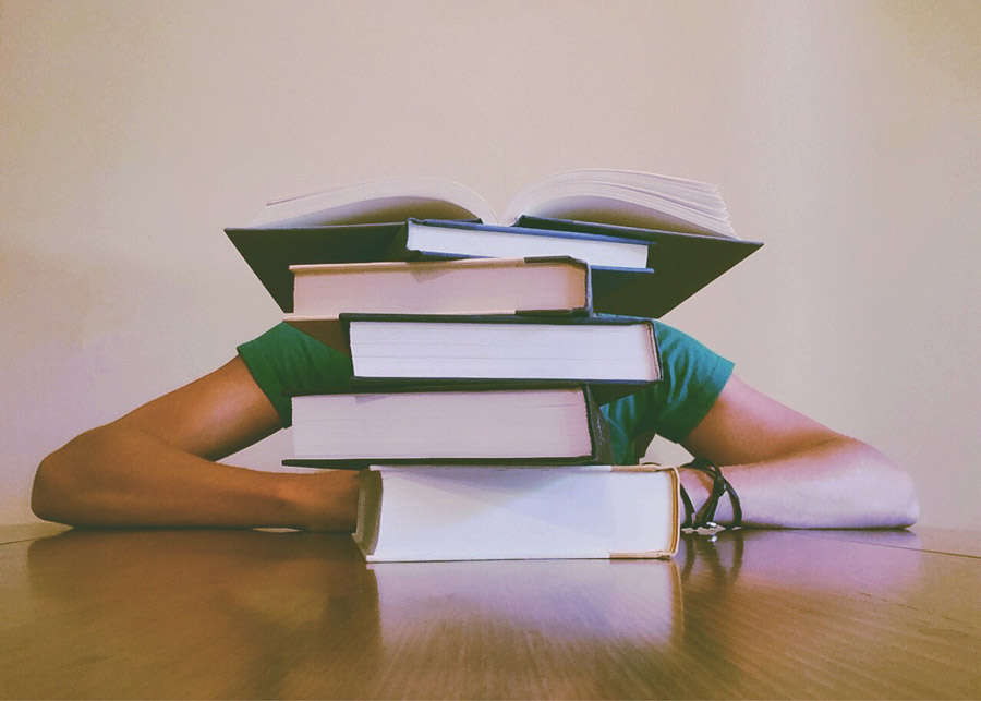 Больше всего стипендий по программе Erasmus Mundus в 2016 году получили студенты из Бразилии