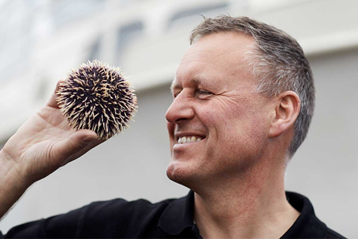 Названы лауреаты премии European Inventor Award 2019