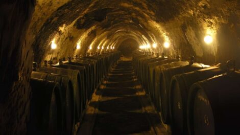EU-Grants-Special-Protection-to-Slovak-Tokaj-Wines