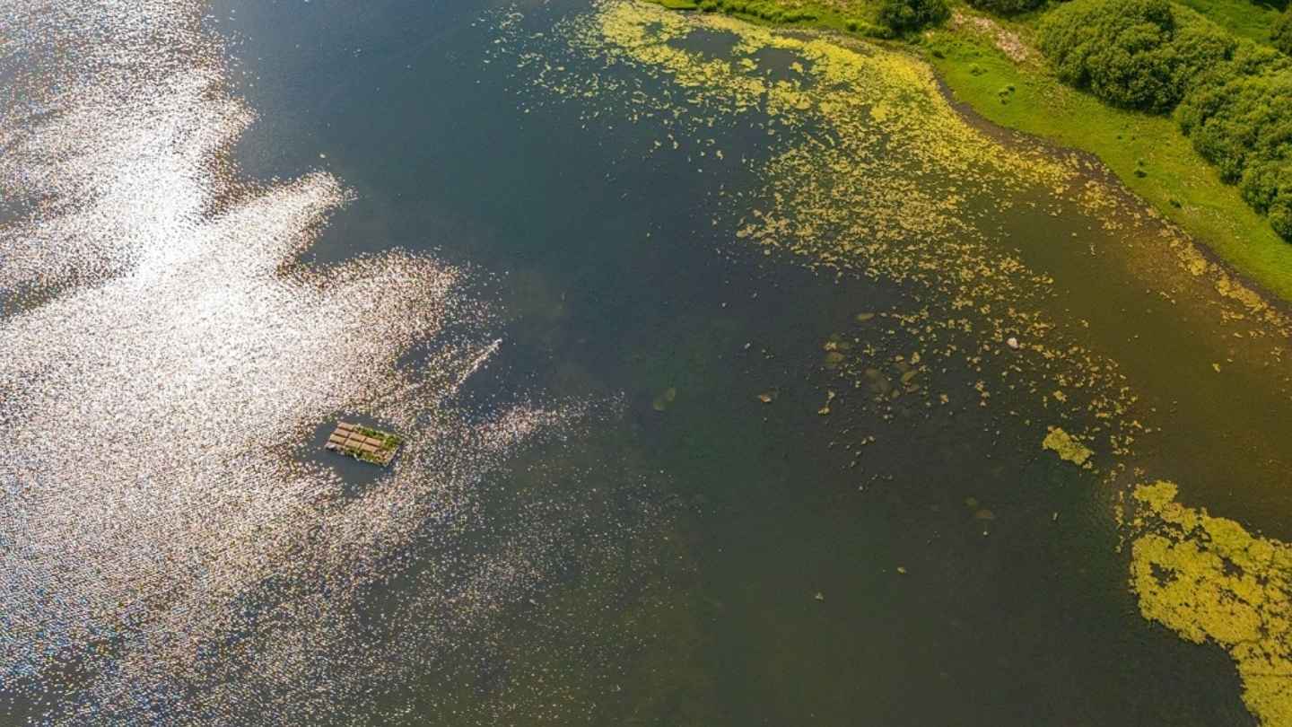 Czech-Republic-Builds-Floating-Island-to-Save-Endangered-Birds