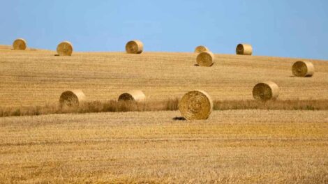 Polish-Farmers-Remind-Tourists-of-Reality-of-Rural-Life